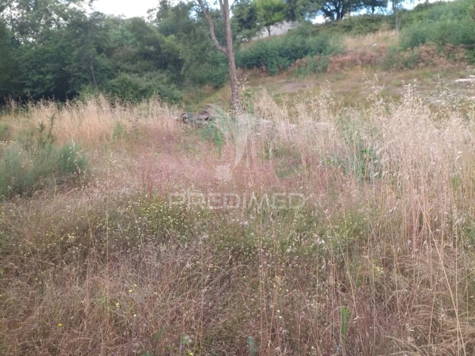 Terreno para Venda em Mangualde, Mesquitela e Cunha Alta Foto 8