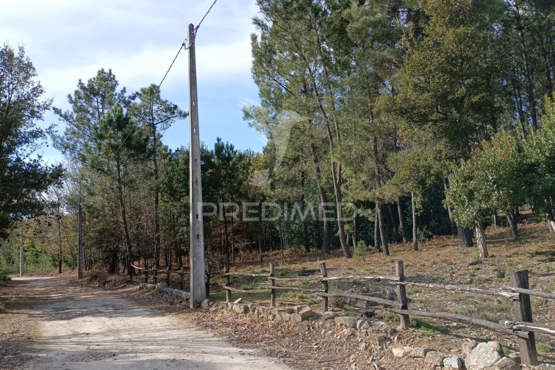 Terreno para Venda em Mangualde, Mesquitela e Cunha Alta Foto 1