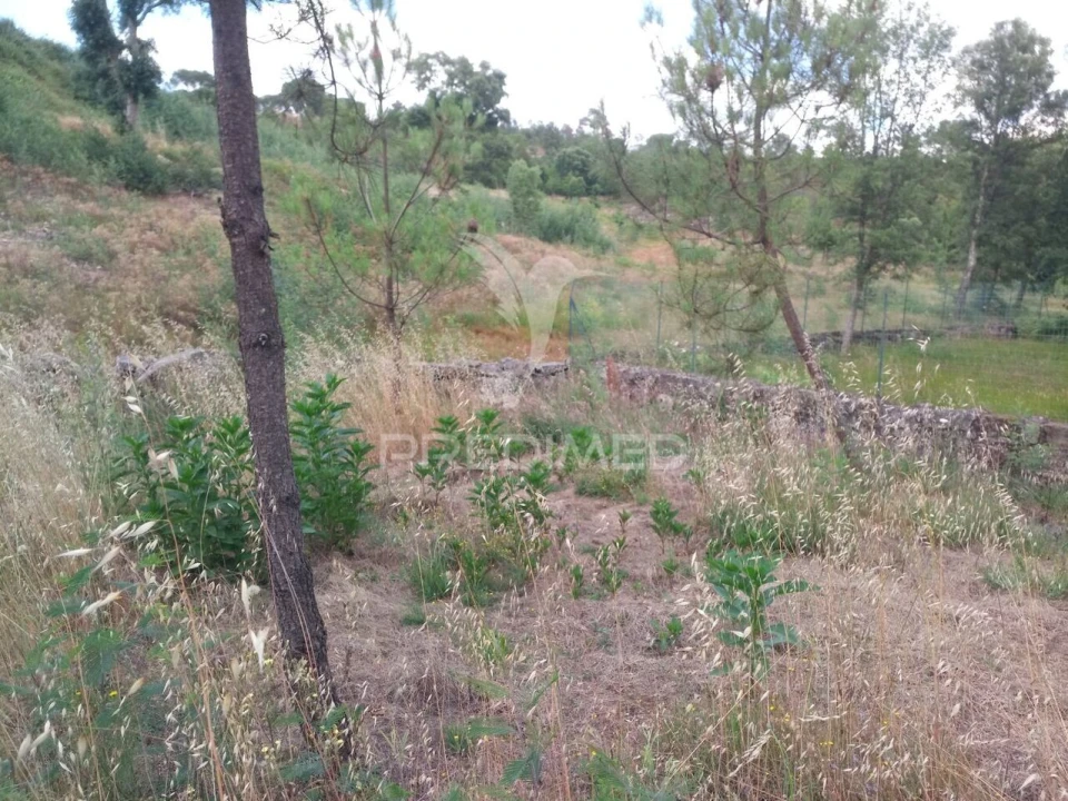 Terreno para Venda em Mangualde, Mesquitela e Cunha Alta Foto 7