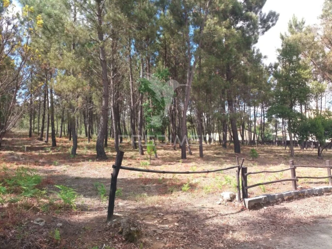 Terreno para Venda em Mangualde, Mesquitela e Cunha Alta Foto 4