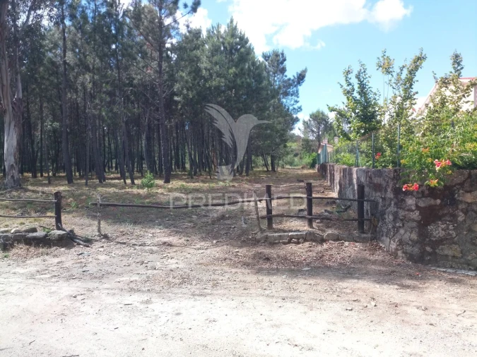 Terreno para Venda em Mangualde, Mesquitela e Cunha Alta Foto 2