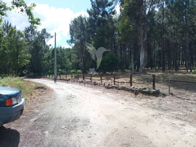 Terreno para Venda em Mangualde, Mesquitela e Cunha Alta Foto 3