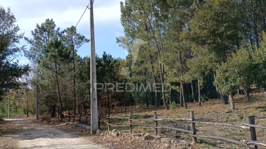 Terreno para Venda em Mangualde, Mesquitela e Cunha Alta