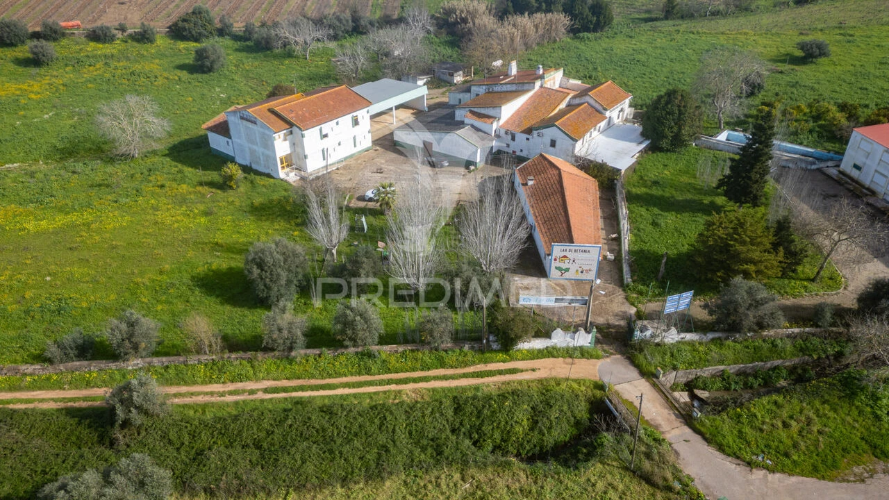 Quinta T9 para Venda em Estremoz (Santa Maria e Santo André) Foto 6