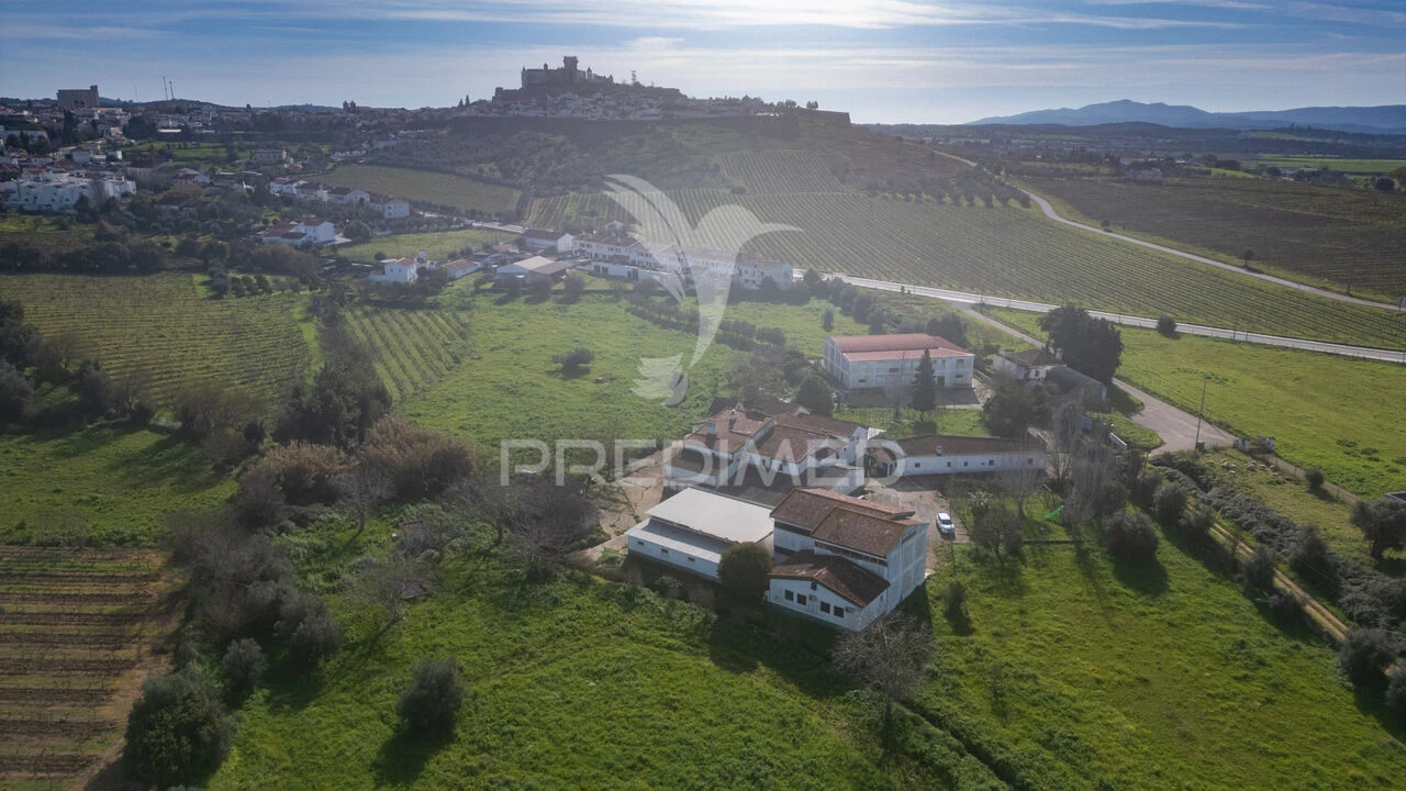 Quinta T9 para Venda em Estremoz (Santa Maria e Santo André) Foto 1