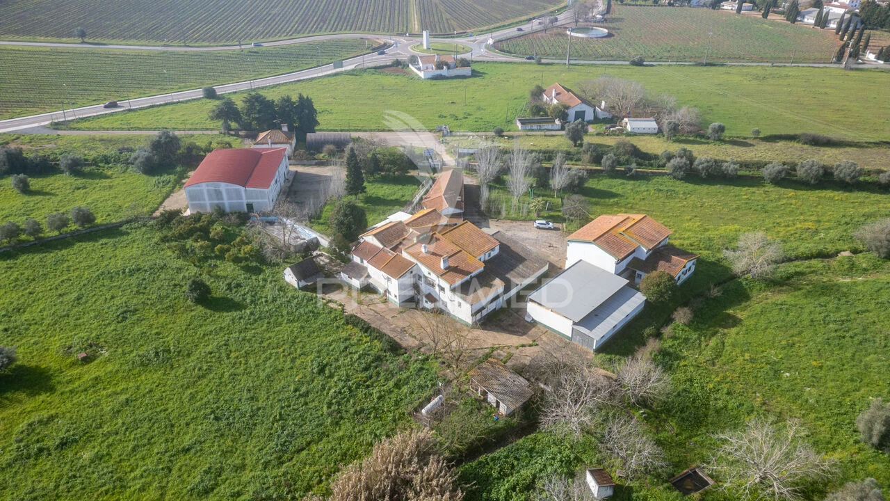 Quinta T9 para Venda em Estremoz (Santa Maria e Santo André) Foto 3