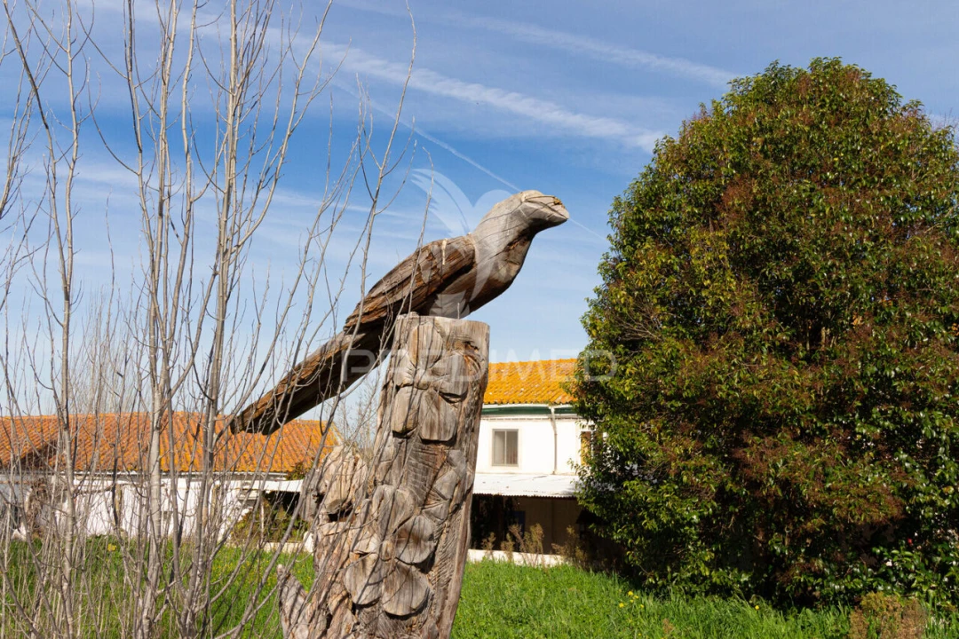 Quinta T9 para Venda em Estremoz (Santa Maria e Santo André) Foto 25