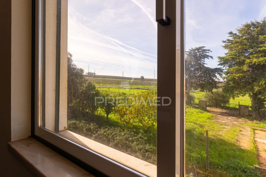 Quinta T9 para Venda em Estremoz (Santa Maria e Santo André) Foto 37