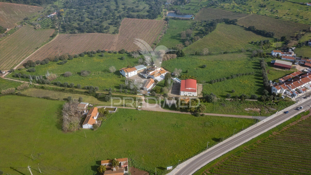 Quinta T9 para Venda em Estremoz (Santa Maria e Santo André) Foto 40