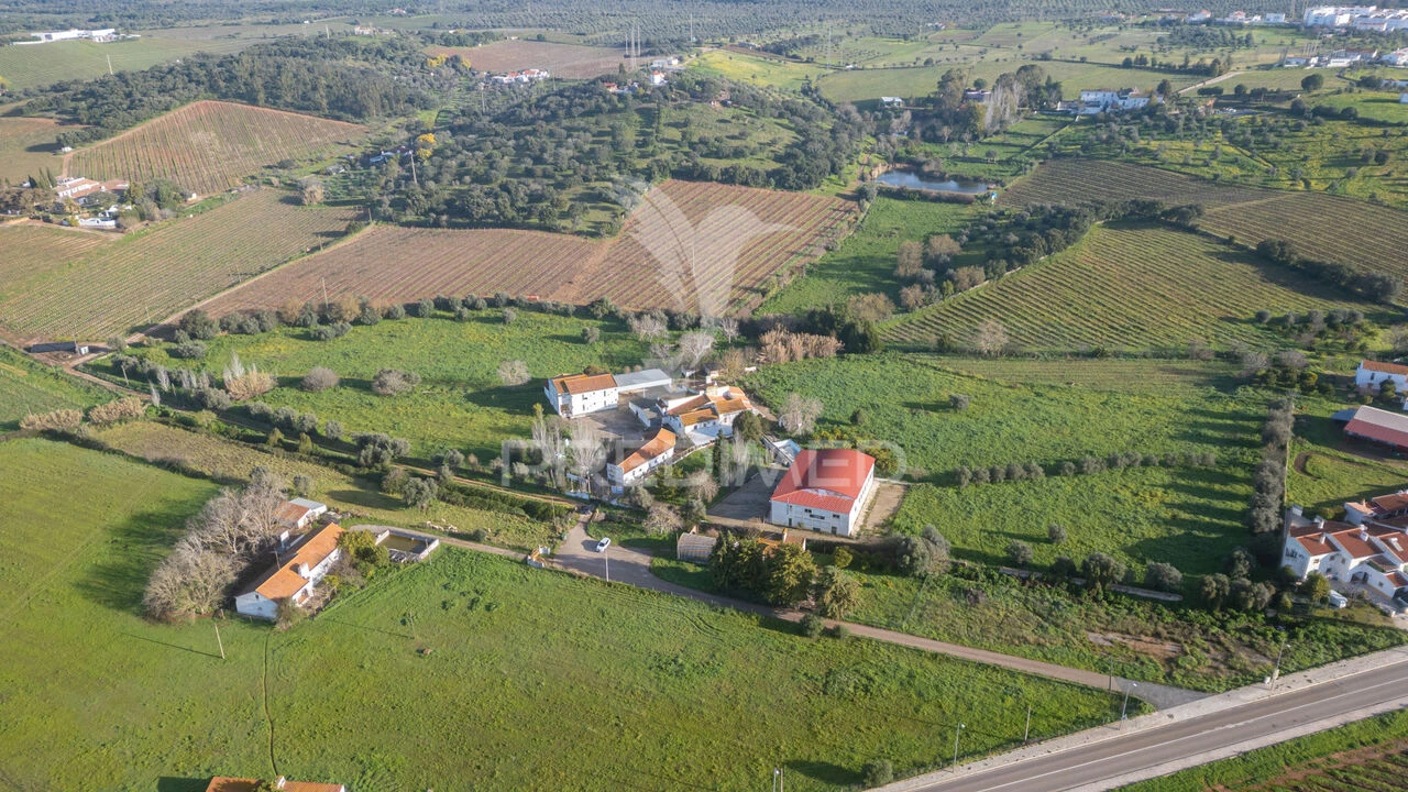 Quinta T9 para Venda em Estremoz (Santa Maria e Santo André) Foto 2