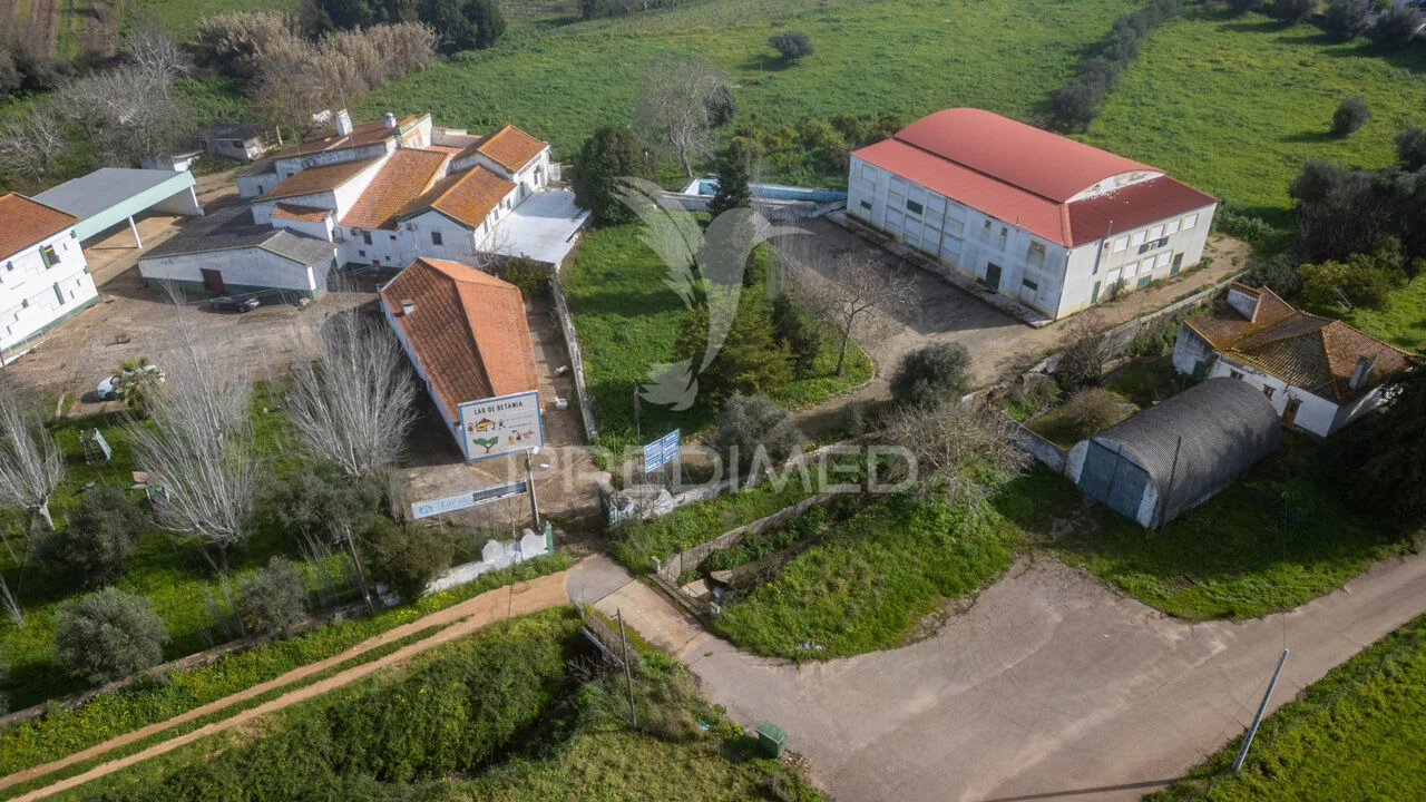 Quinta T9 para Venda em Estremoz (Santa Maria e Santo André) Foto 7