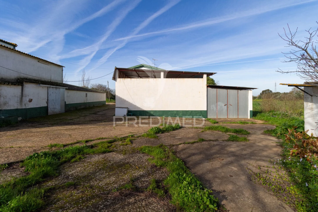 Quinta T9 para Venda em Estremoz (Santa Maria e Santo André) Foto 17