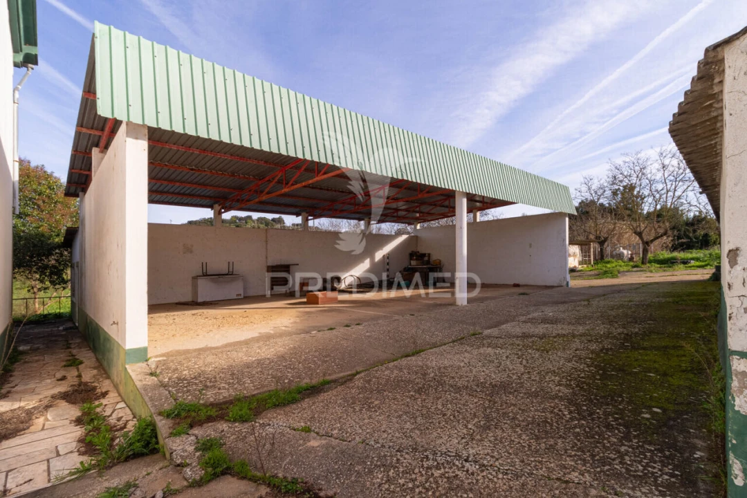 Quinta T9 para Venda em Estremoz (Santa Maria e Santo André) Foto 16