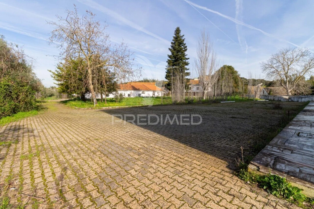 Quinta T9 para Venda em Estremoz (Santa Maria e Santo André) Foto 29