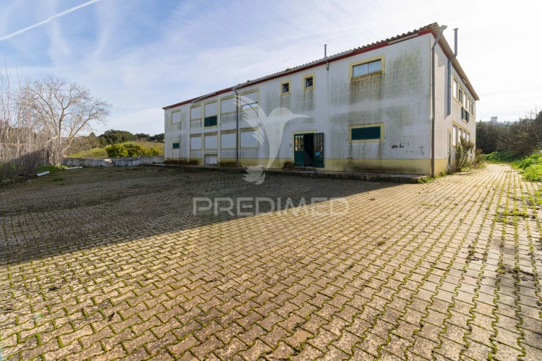 Quinta T9 para Venda em Estremoz (Santa Maria e Santo André) Foto 27