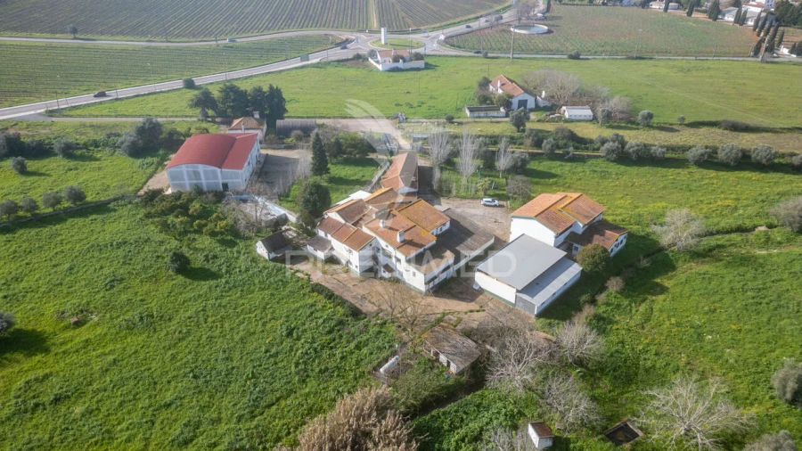 Quinta T9 para Venda em Estremoz (Santa Maria e Santo André) Foto 3