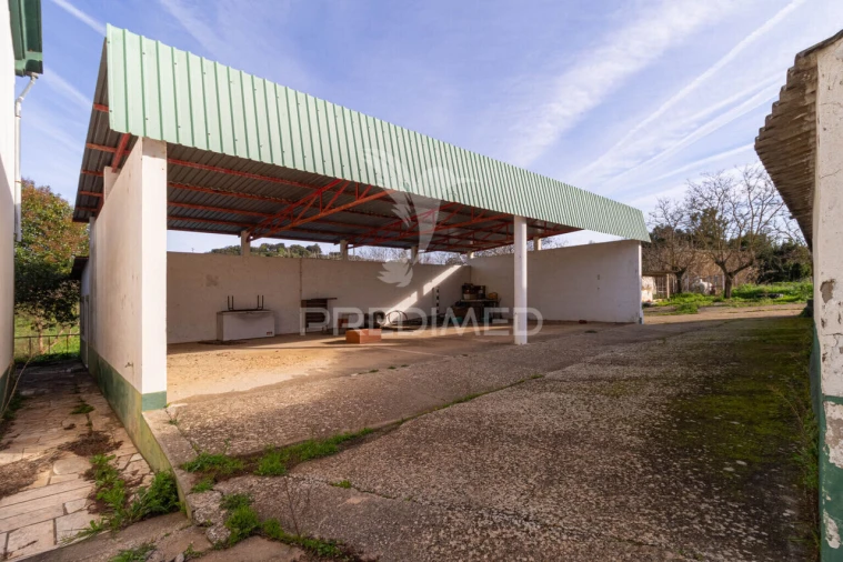Quinta T9 para Venda em Estremoz (Santa Maria e Santo André) Foto 16