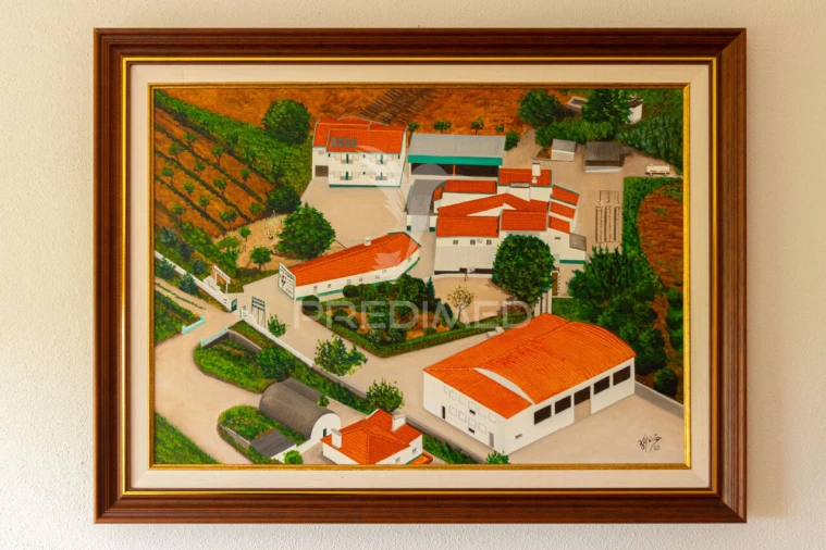 Quinta T9 para Venda em Estremoz (Santa Maria e Santo André) Foto 26