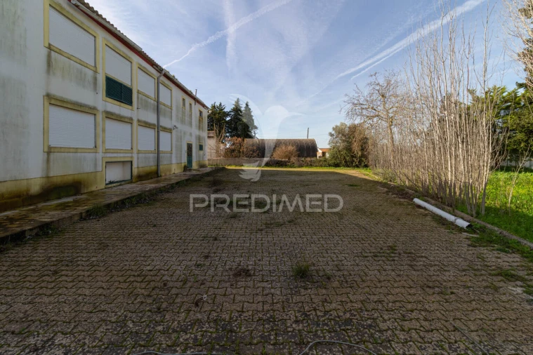 Quinta T9 para Venda em Estremoz (Santa Maria e Santo André) Foto 28