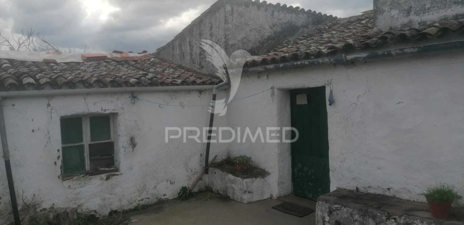 Quinta T6 para Venda em Ribeira de Nisa e Carreiras Foto 6