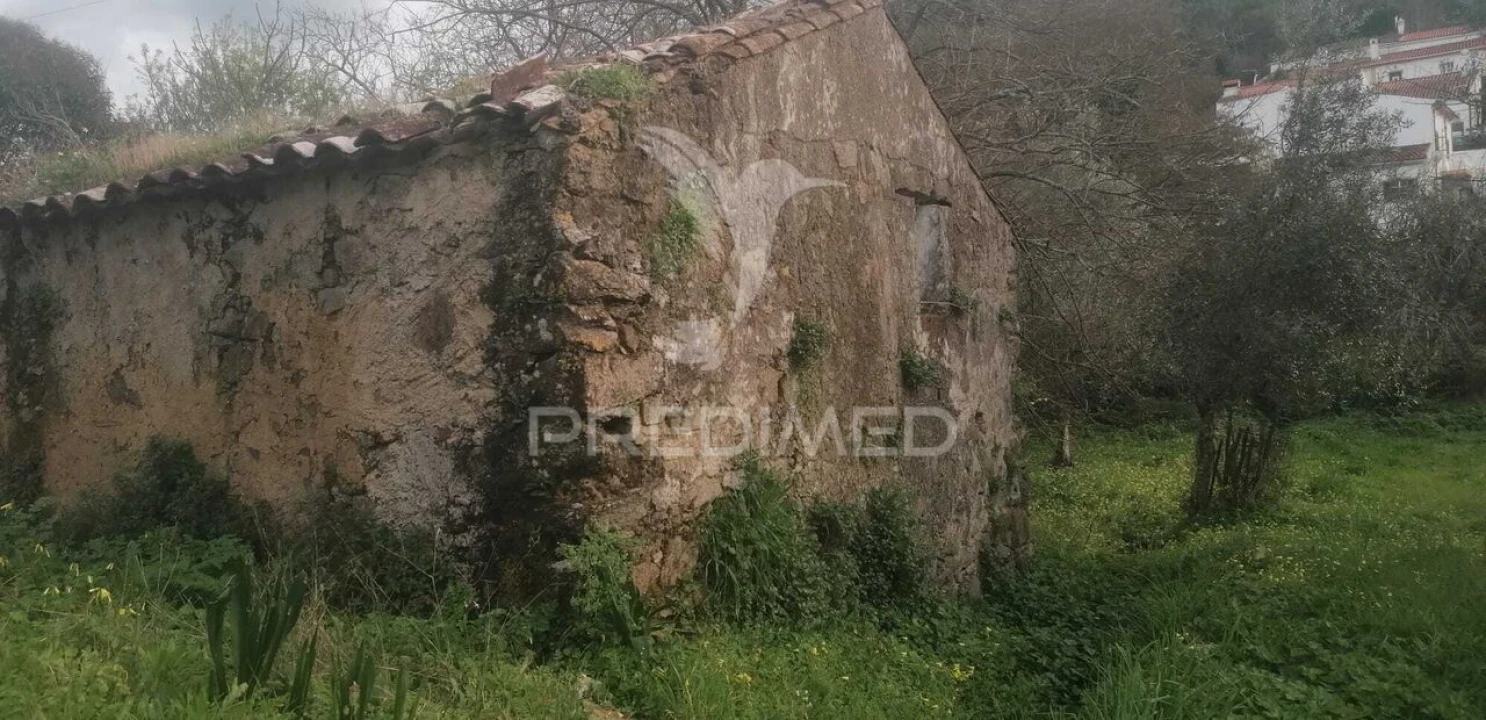 Quinta T6 para Venda em Ribeira de Nisa e Carreiras Foto 16