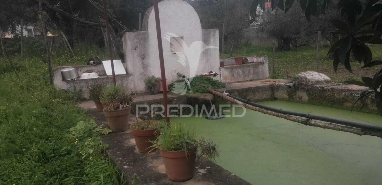 Quinta T6 para Venda em Ribeira de Nisa e Carreiras Foto 9