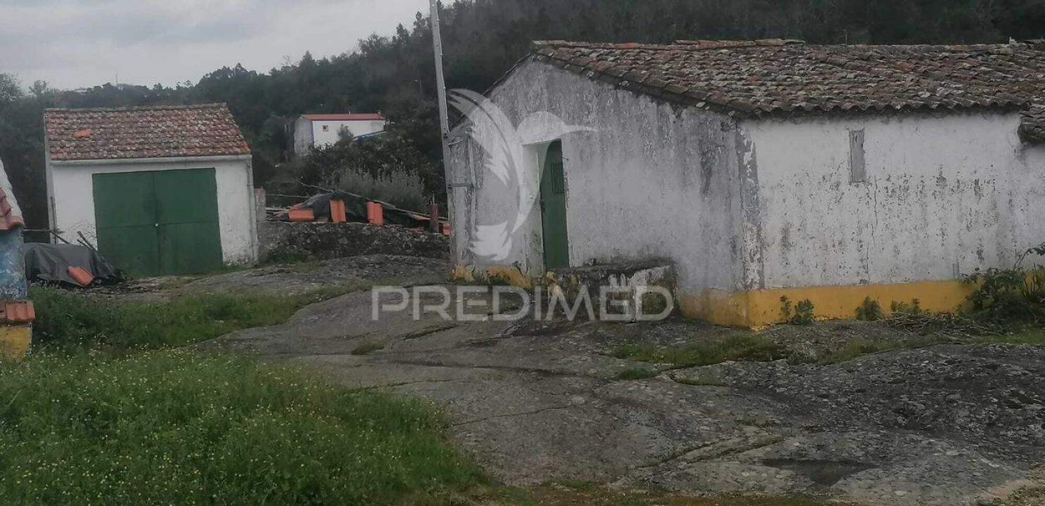 Quinta T6 para Venda em Ribeira de Nisa e Carreiras Foto 1
