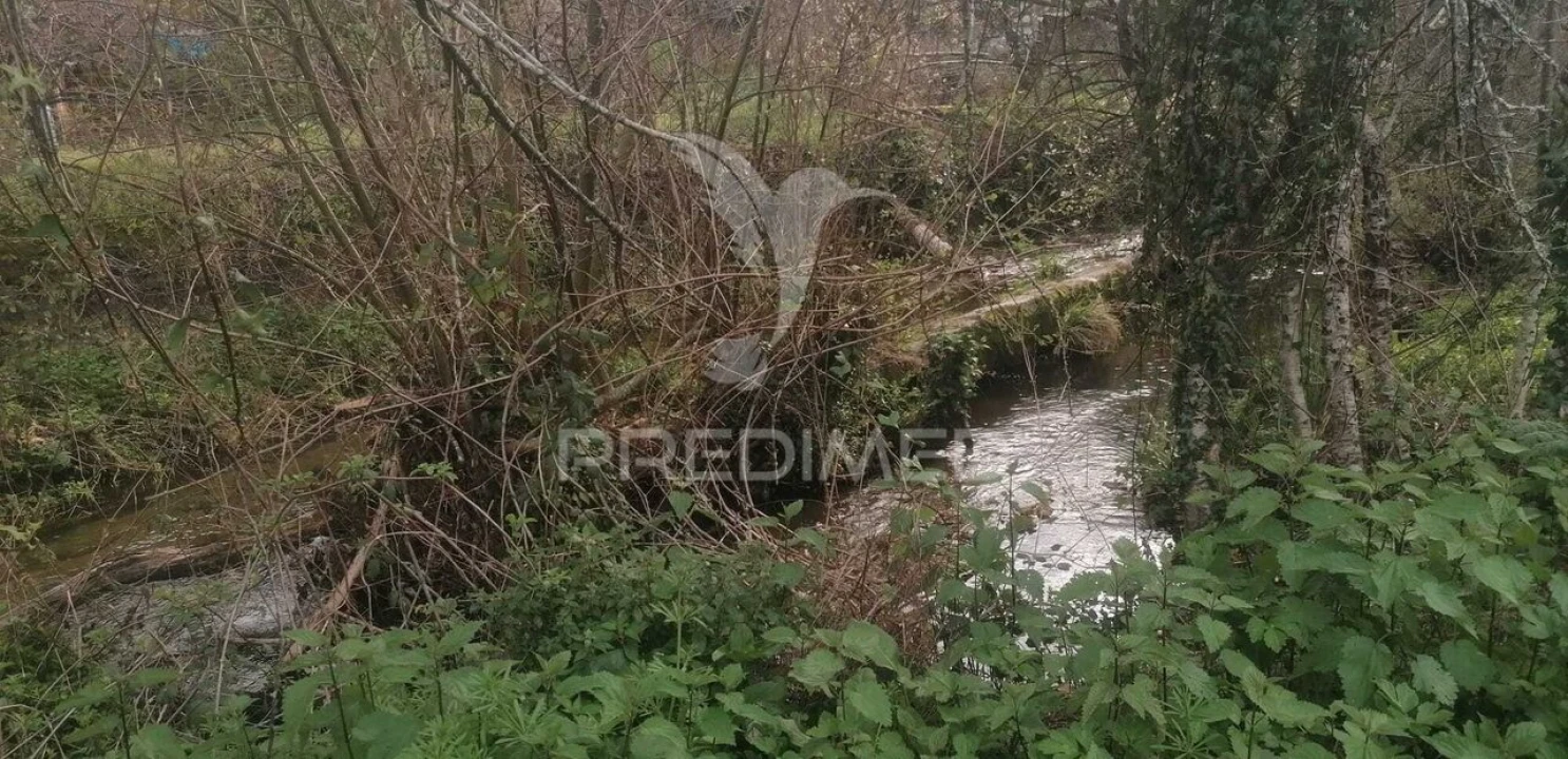 Quinta T6 para Venda em Ribeira de Nisa e Carreiras Foto 13