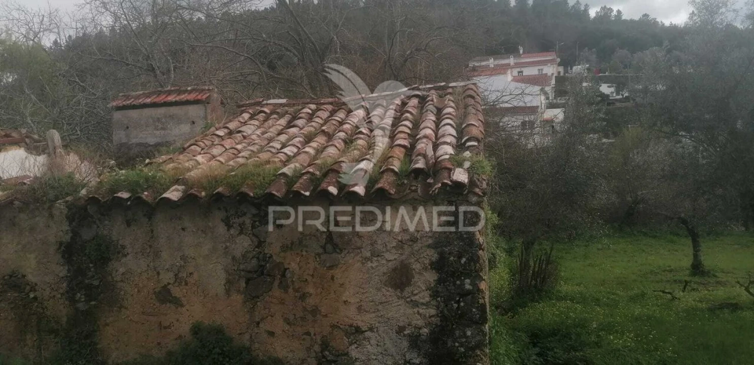 Quinta T6 para Venda em Ribeira de Nisa e Carreiras Foto 17