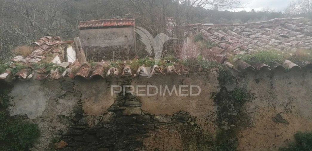 Quinta T6 para Venda em Ribeira de Nisa e Carreiras Foto 18