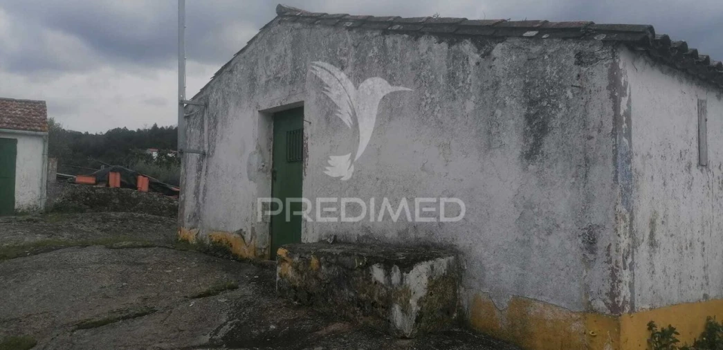 Quinta T6 para Venda em Ribeira de Nisa e Carreiras Foto 4