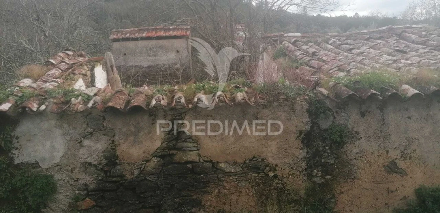 Quinta T6 para Venda em Ribeira de Nisa e Carreiras Foto 18