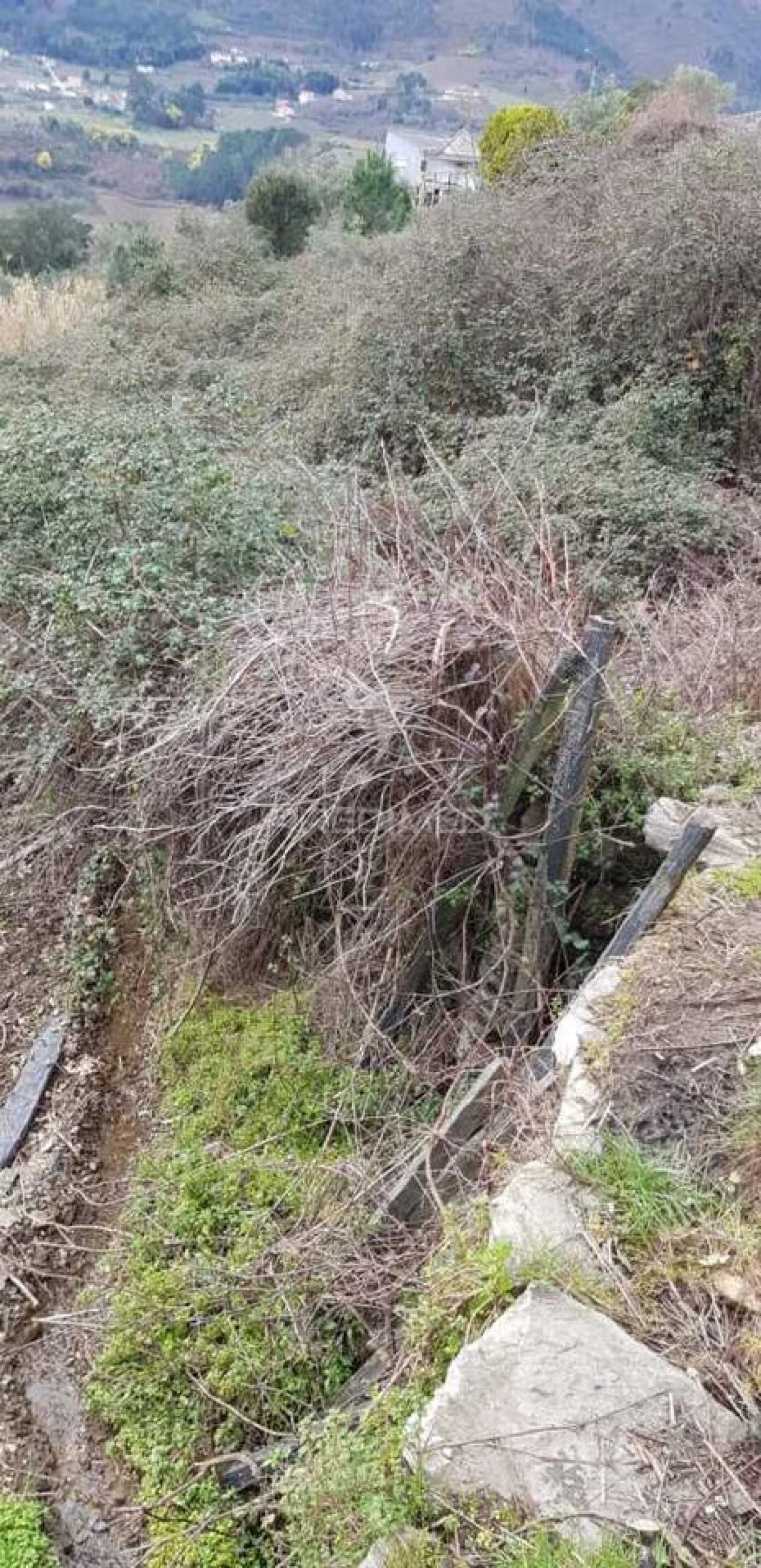 Terreno para Venda em Moura Morta e Vinhós Foto 2