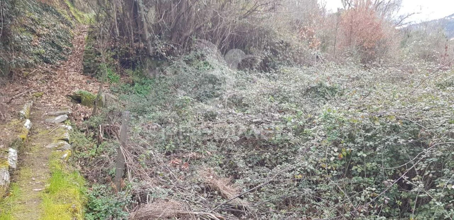 Terreno para Venda em Moura Morta e Vinhós Foto 1