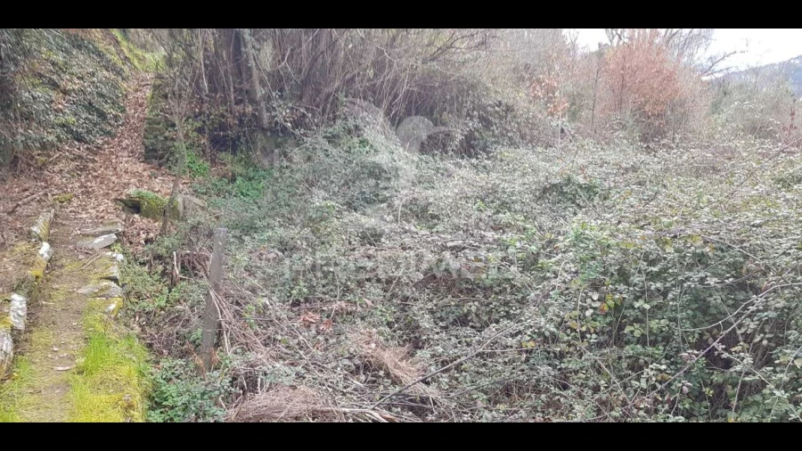 Terreno para Venda em Moura Morta e Vinhós