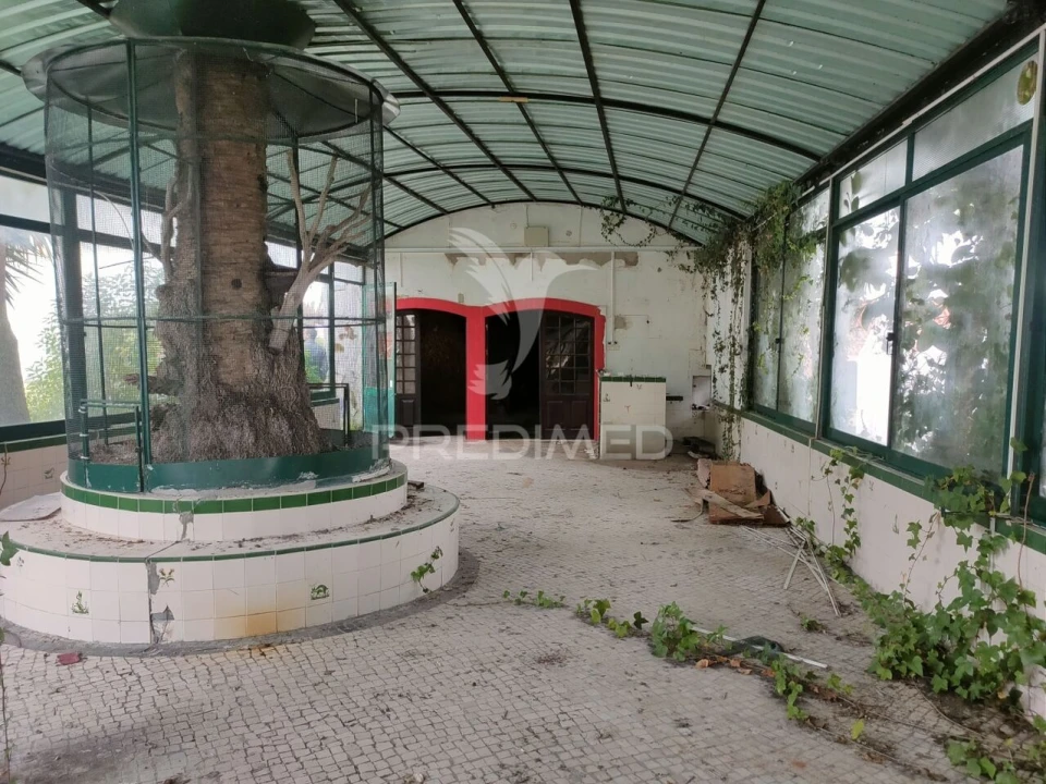 Loja para Venda em Romeira e Várzea Foto 25