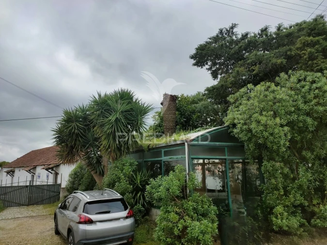 Loja para Venda em Romeira e Várzea Foto 28