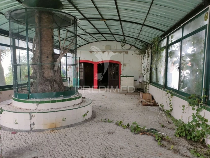 Loja para Venda em Romeira e Várzea Foto 25