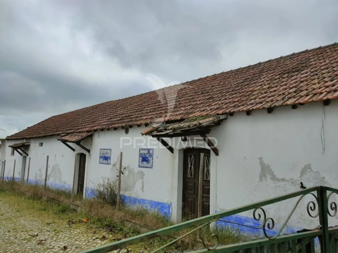 Loja para Venda em Romeira e Várzea