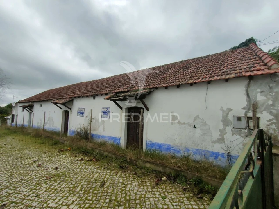 Loja para Venda em Romeira e Várzea Foto 2