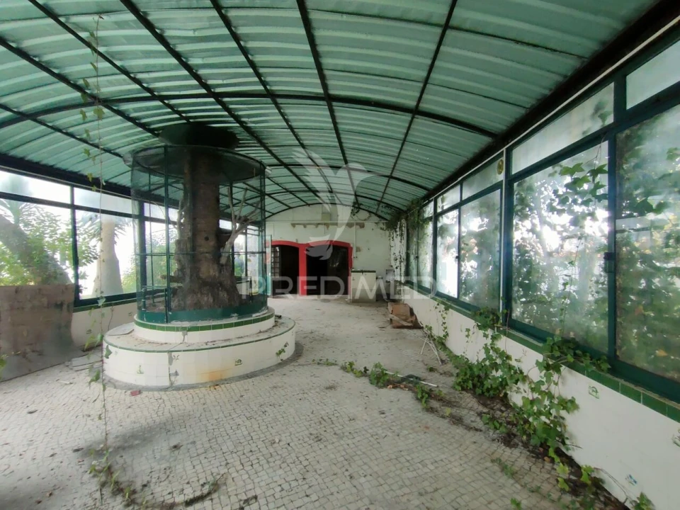 Loja para Venda em Romeira e Várzea Foto 24