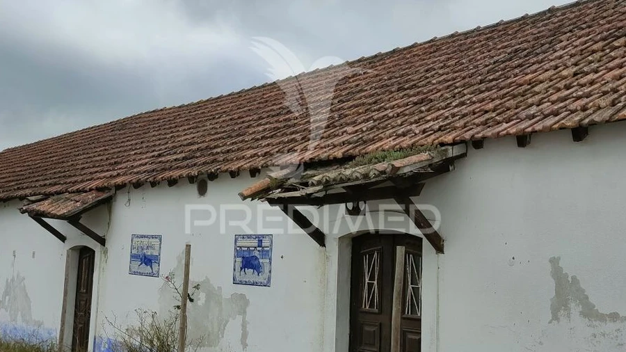 Loja para Venda em Romeira e Várzea