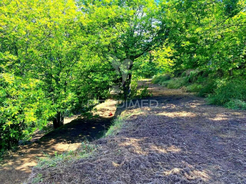 Moradia T3 para Venda em Sande, Vilarinho, Barros e Gomide Foto 9