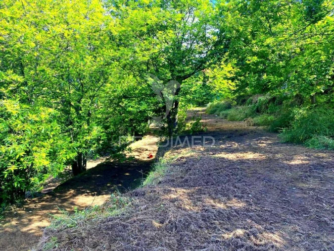 Moradia T3 para Venda em Sande, Vilarinho, Barros e Gomide Foto 9