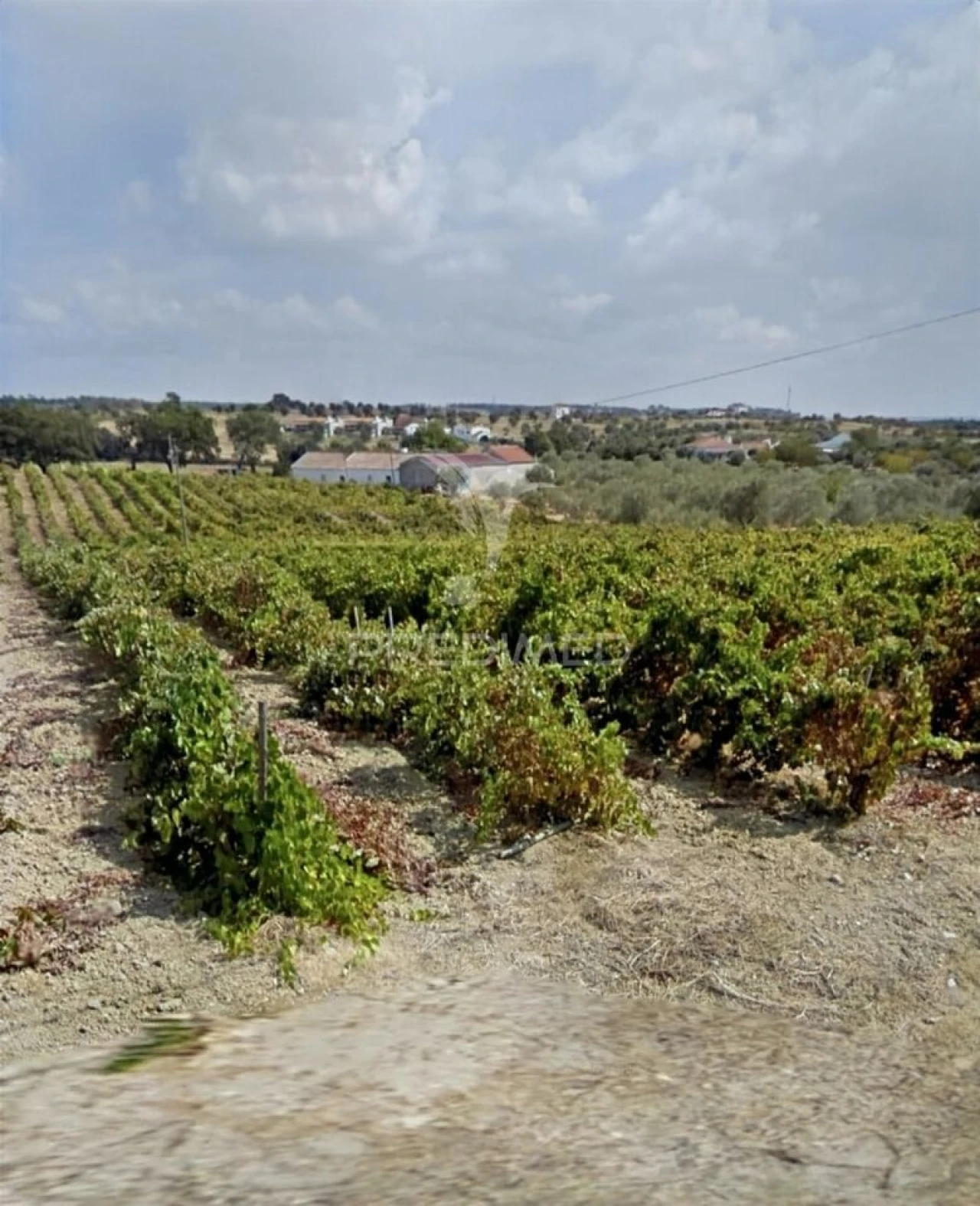 Quinta T3 para Venda em Casével e Vaqueiros Foto 35