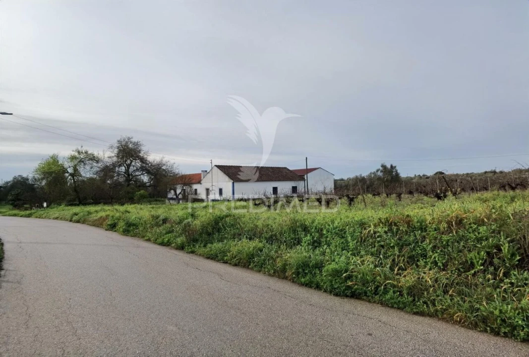 Quinta T3 para Venda em Casével e Vaqueiros Foto 8