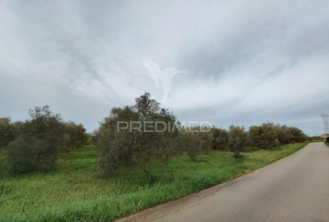 Quinta T3 para Venda em Casével e Vaqueiros Foto 33