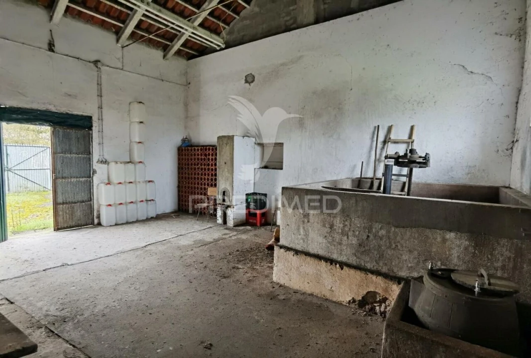 Quinta T3 para Venda em Casével e Vaqueiros Foto 27