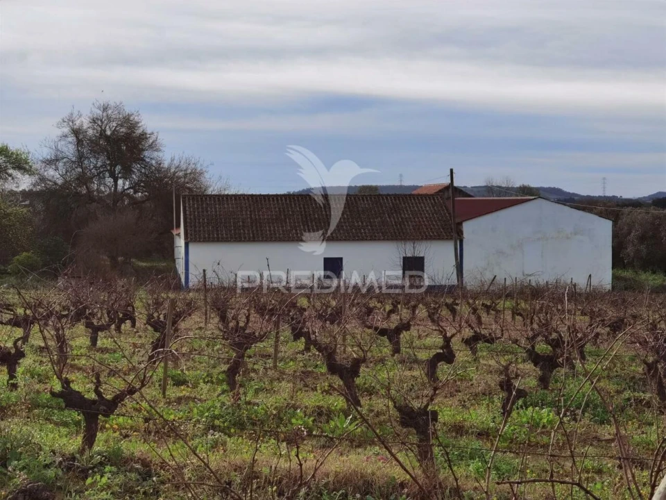 Quinta T3 para Venda em Casével e Vaqueiros Foto 2
