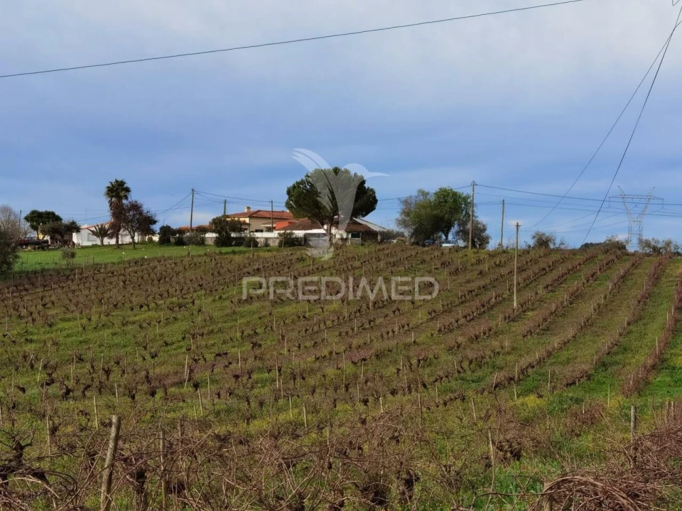 Quinta T3 para Venda em Casével e Vaqueiros Foto 39